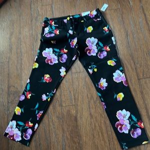 Old navy Anjou pixie pants sz6